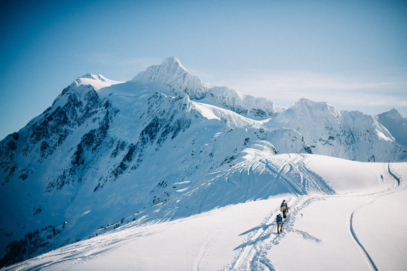 Eco-Friendly Belts: How Recycled Materials Shape Today's Styles