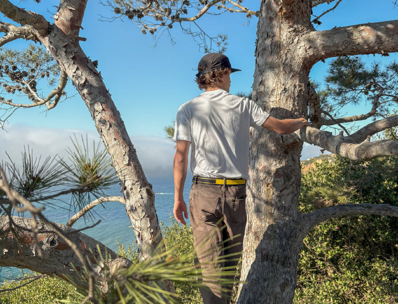 A person wearing a white t-shirt, dark pants, and a black cap stands among tree branches, facing away from the camera and looking out at the ocean under a clear blue sky.