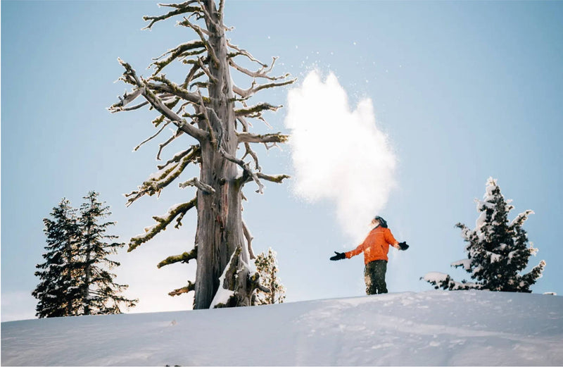 A person in an orange jacket stands in deep snow beside a tall, snow-covered tree, tossing snow into the air under a clear blue sky, secured with a durable Arcade Belt.
